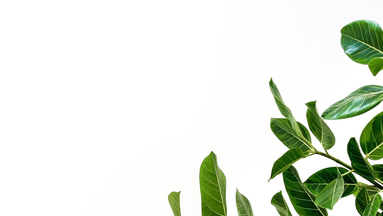 日野脊椎回復運動