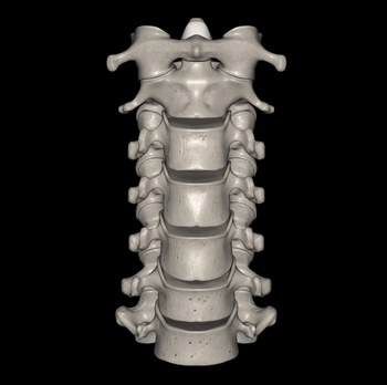 日野脊椎回復運動
