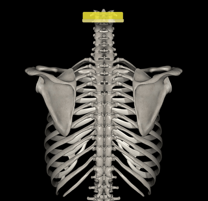 日野脊椎回復運動