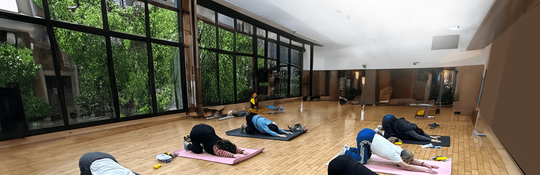 日野脊椎回復運動