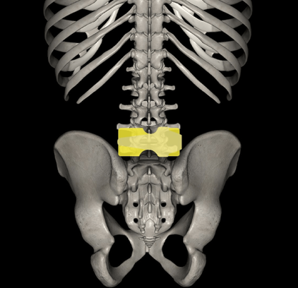 日野脊椎回復運動