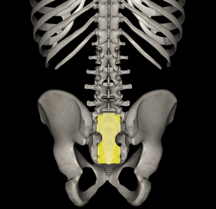 日野脊椎回復運動