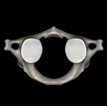 日野脊椎回復運動