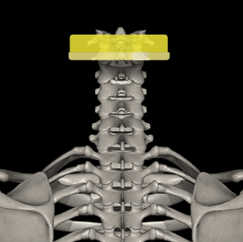 日野脊椎回復運動