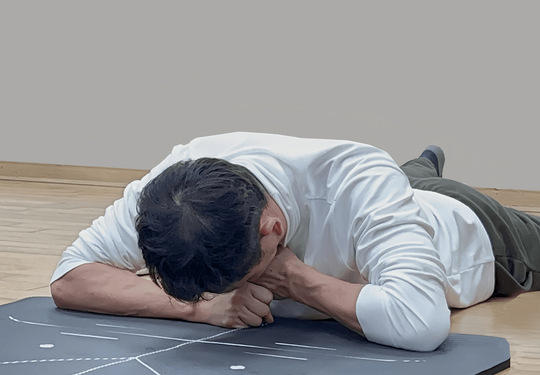 日野脊椎回復運動