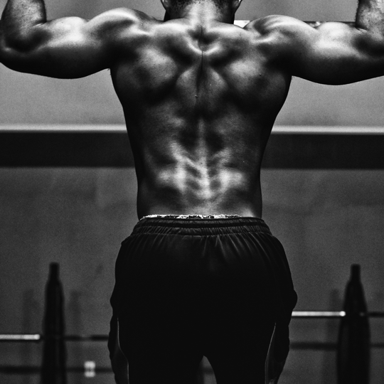 日野脊椎回復運動