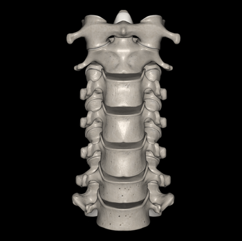 日野脊椎回復運動
